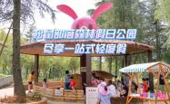 委内瑞拉篮球联赛决赛预售门票风靡全球的简单介绍