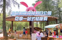 委内瑞拉篮球联赛决赛预售门票风靡全球的简单介绍